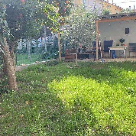 Bonsai - 3* Pesaro